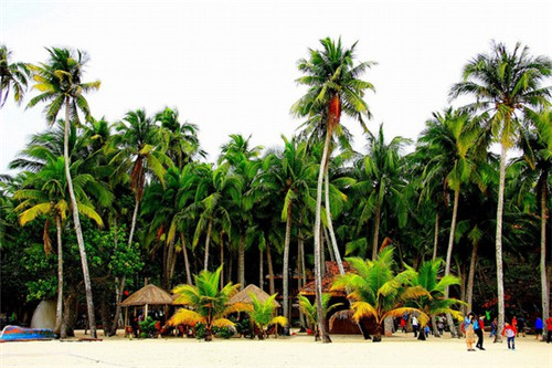 新派串串香