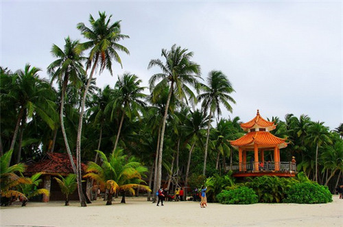 百年德园包子