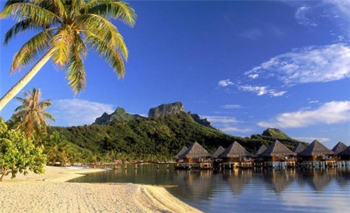 金火烧烤总代理的条件是什么