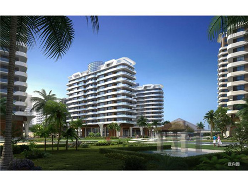 为什么散户成了十大股东（为什么大部分散户在股票中不赚钱）