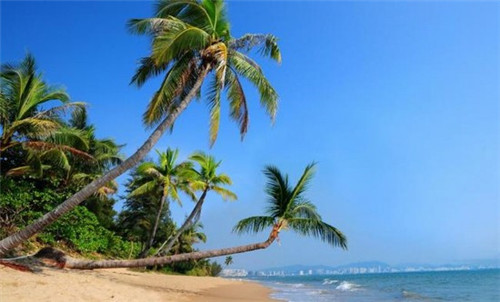 抖音指数版小游戏叫什么（我想看抖音指数榜）