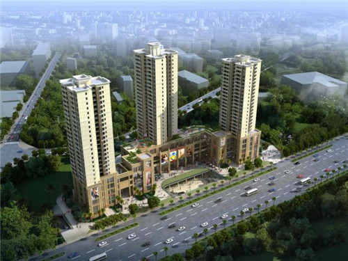 50天的猫用什么猫砂（五十多天的猫咪吃什么）