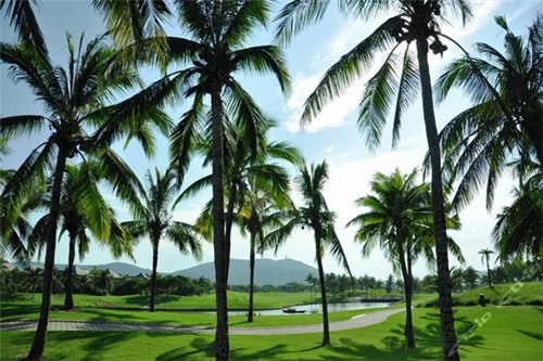 智可优果水果店（智可优果水果店电话）