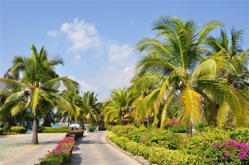 适合海南开的原浆白酒加盟店